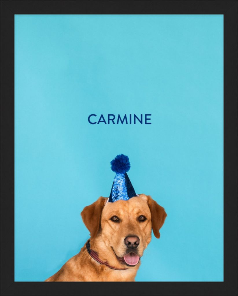 CARMINE Dog Portrait_The Hearts Joy Photography