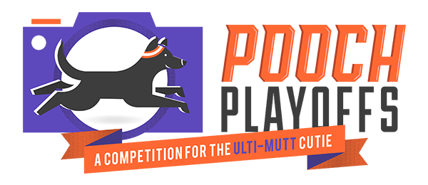 Pooch Playoffs_logo_web